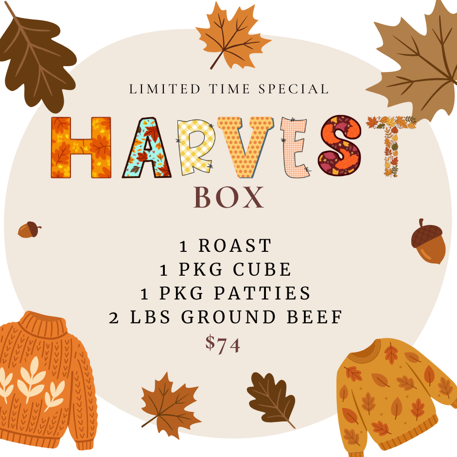 Harvest Box